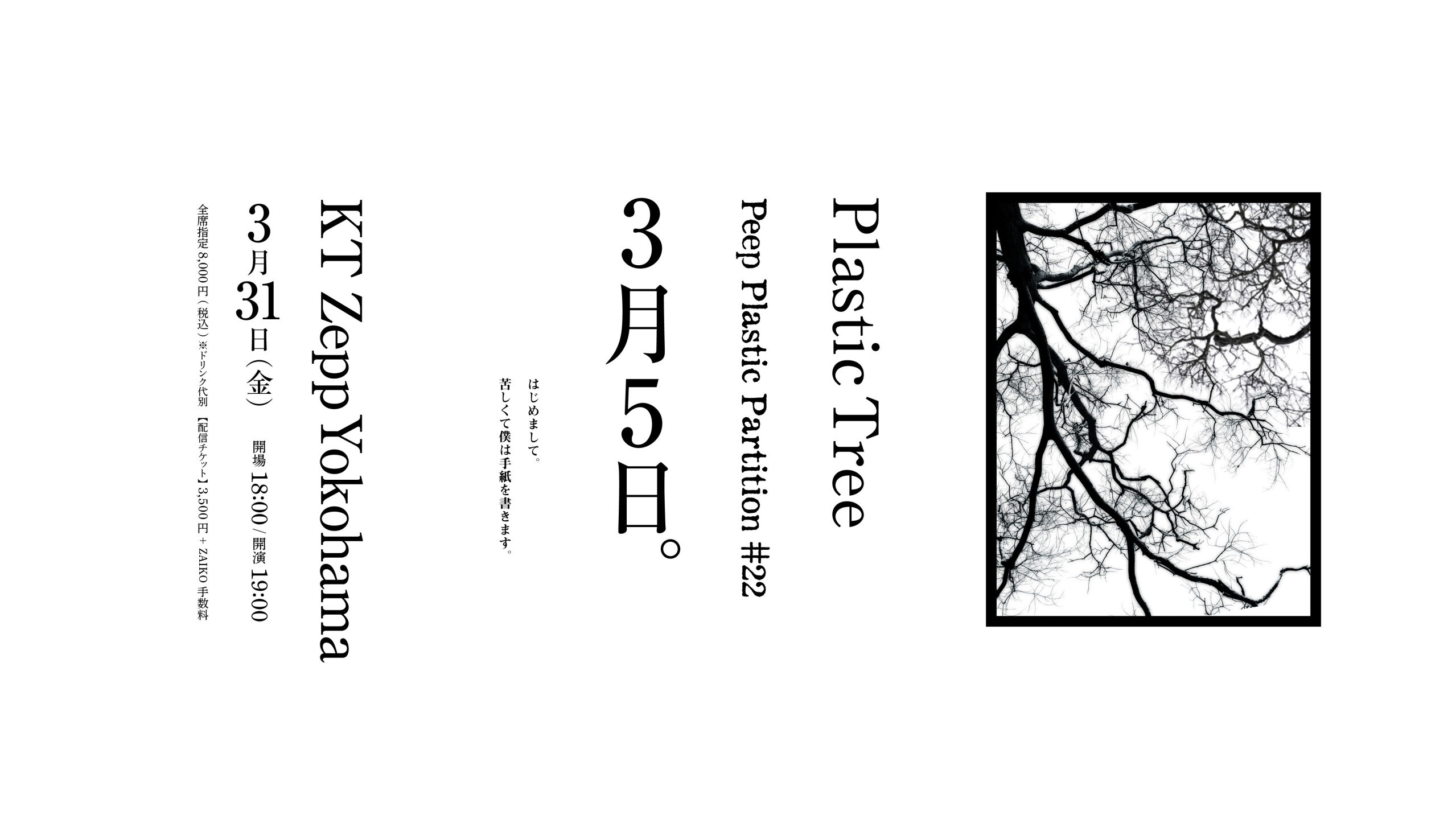 Plastic Tree「Peep Plastic Partition #22 3月5日。」 | Plastic Tree