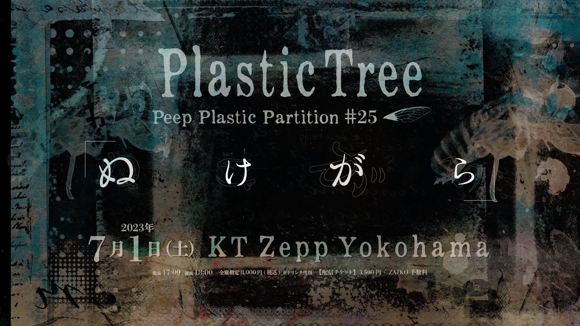 Plastic Tree「Peep Plastic Partition #25 「ぬけがら」」 | Plastic