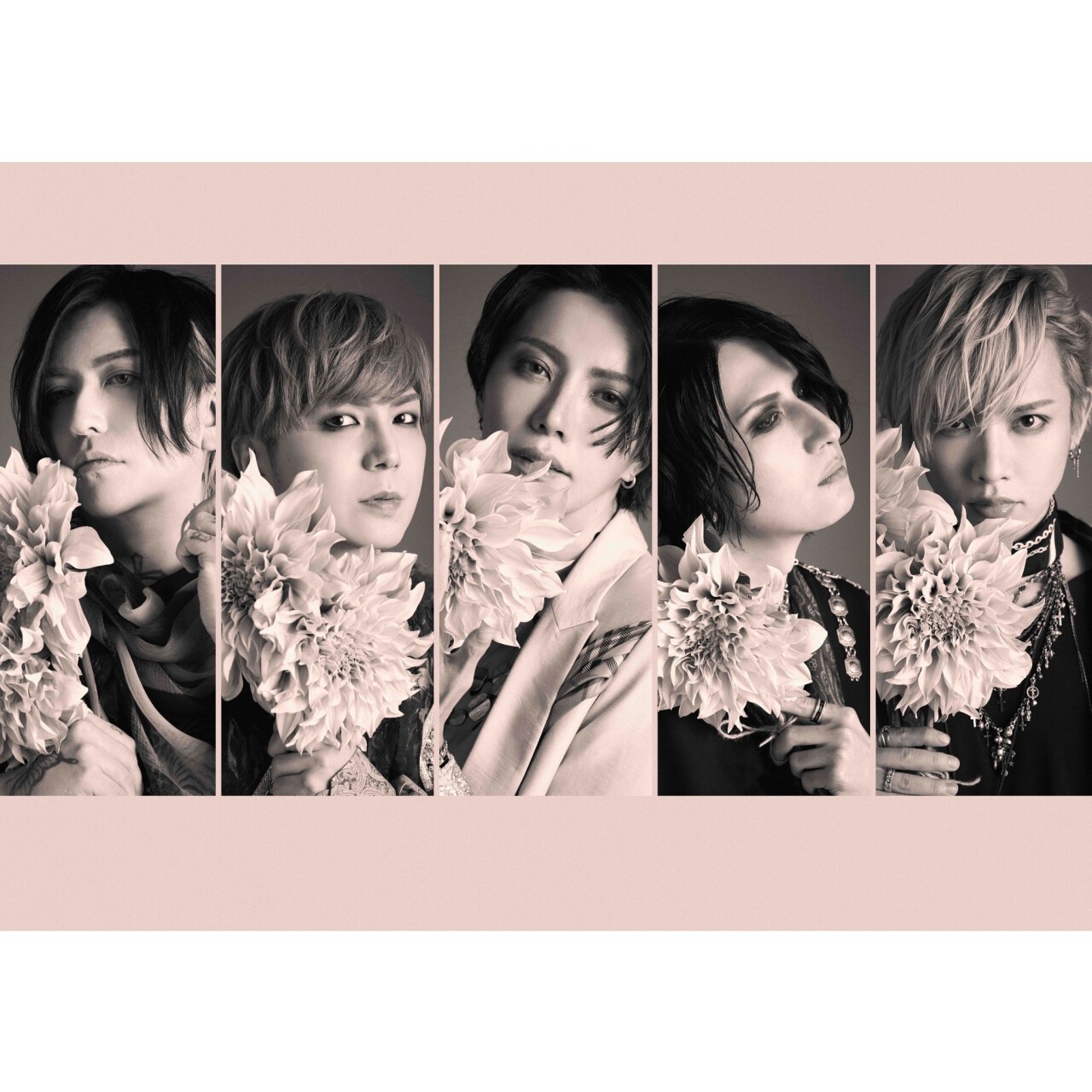 アリス九號. | Zaiko