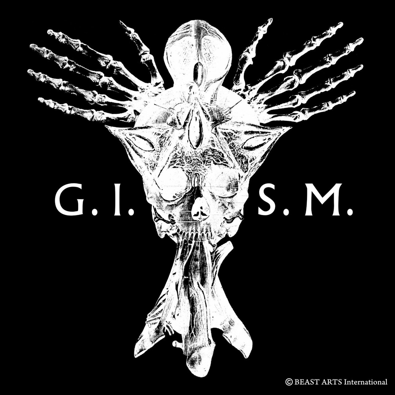 G.I.S.M. | ZAIKO