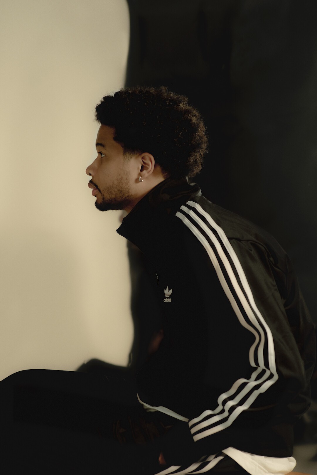 Daichi Yamamoto | Zaiko