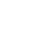 SHE IS SUMMER