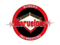 Marvelousプロレス