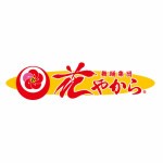舞踊集団 花やから