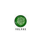 VOLVOX