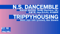 N.S. DANCEMBLE / TRIPPYHOUSING