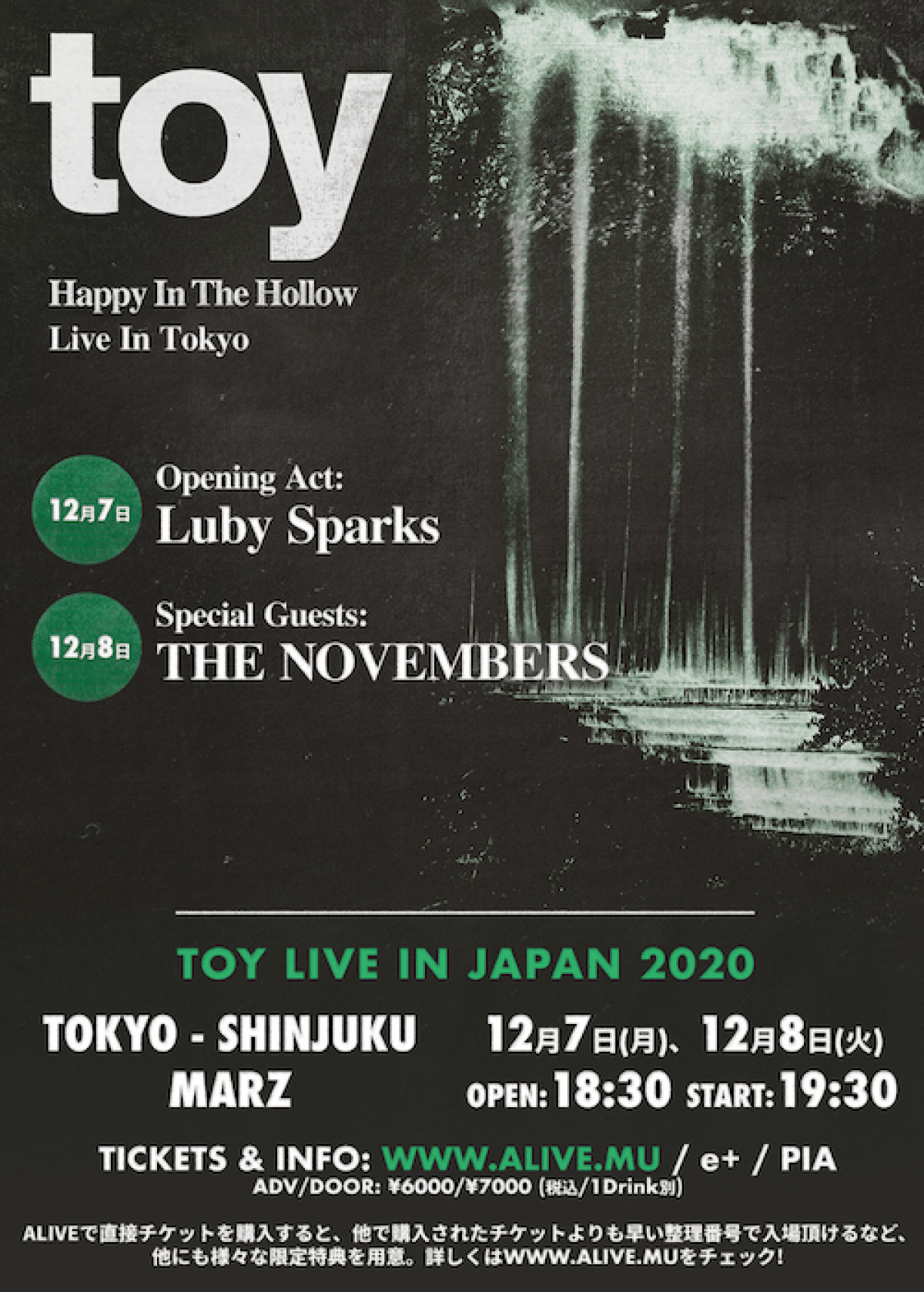 TOY - LIVE IN JAPAN