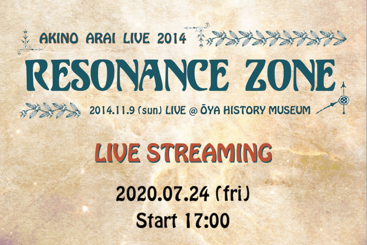 Akino Arai Live Streaming 2014 Resonance Zone in Oya History Museum.