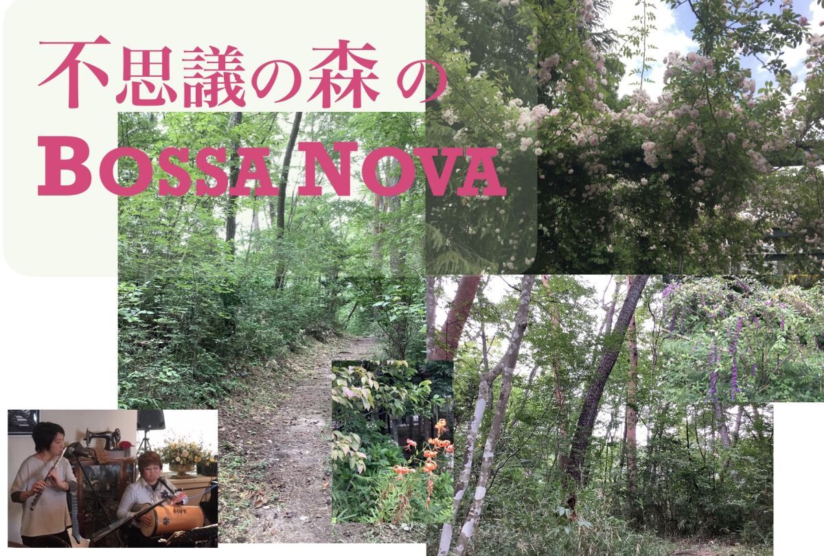 11/18　不思議の国のBOSSA NOVA