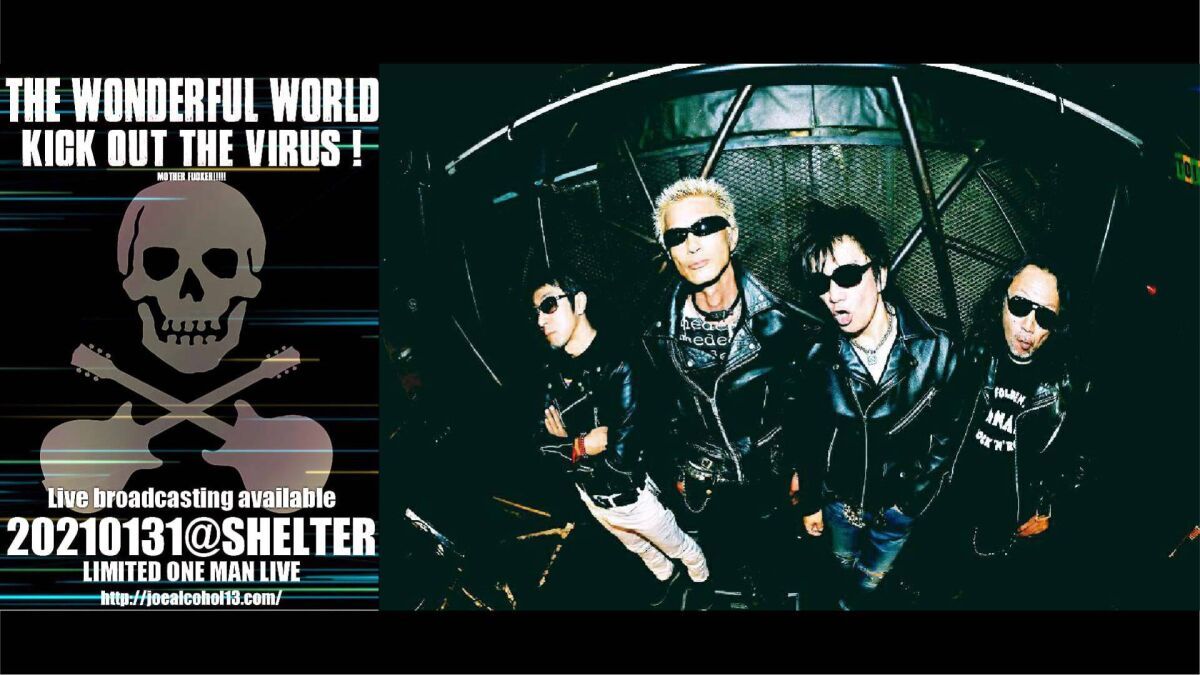 THE WONDERFUL WORLD  「KICK OUT THE VIRUS！」