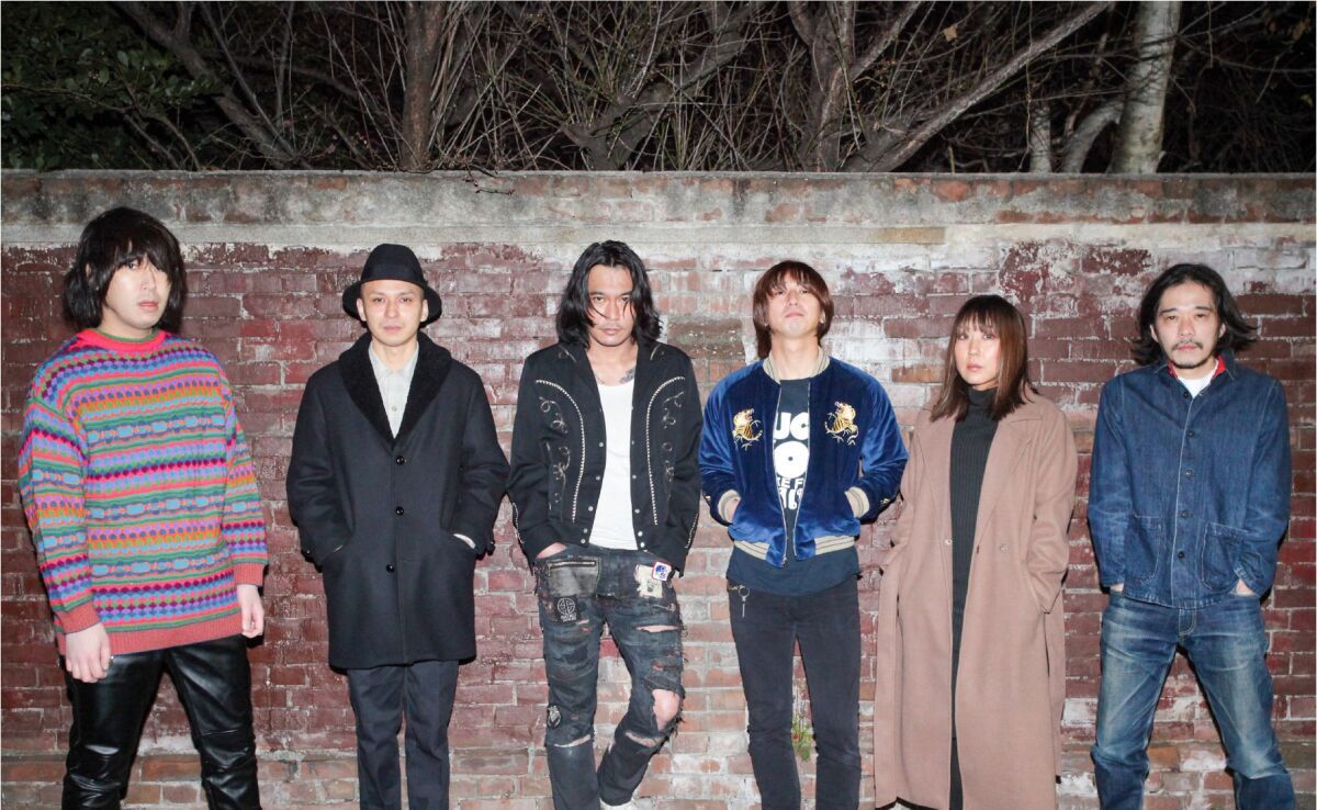 「Live Streaming in SHELTER / 背信 この夜 Vol.2」