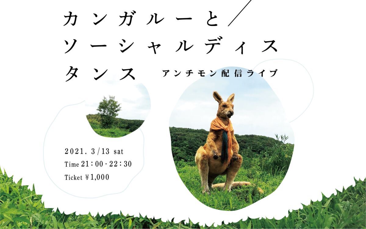 カンガルーとソーシャルディスタンス