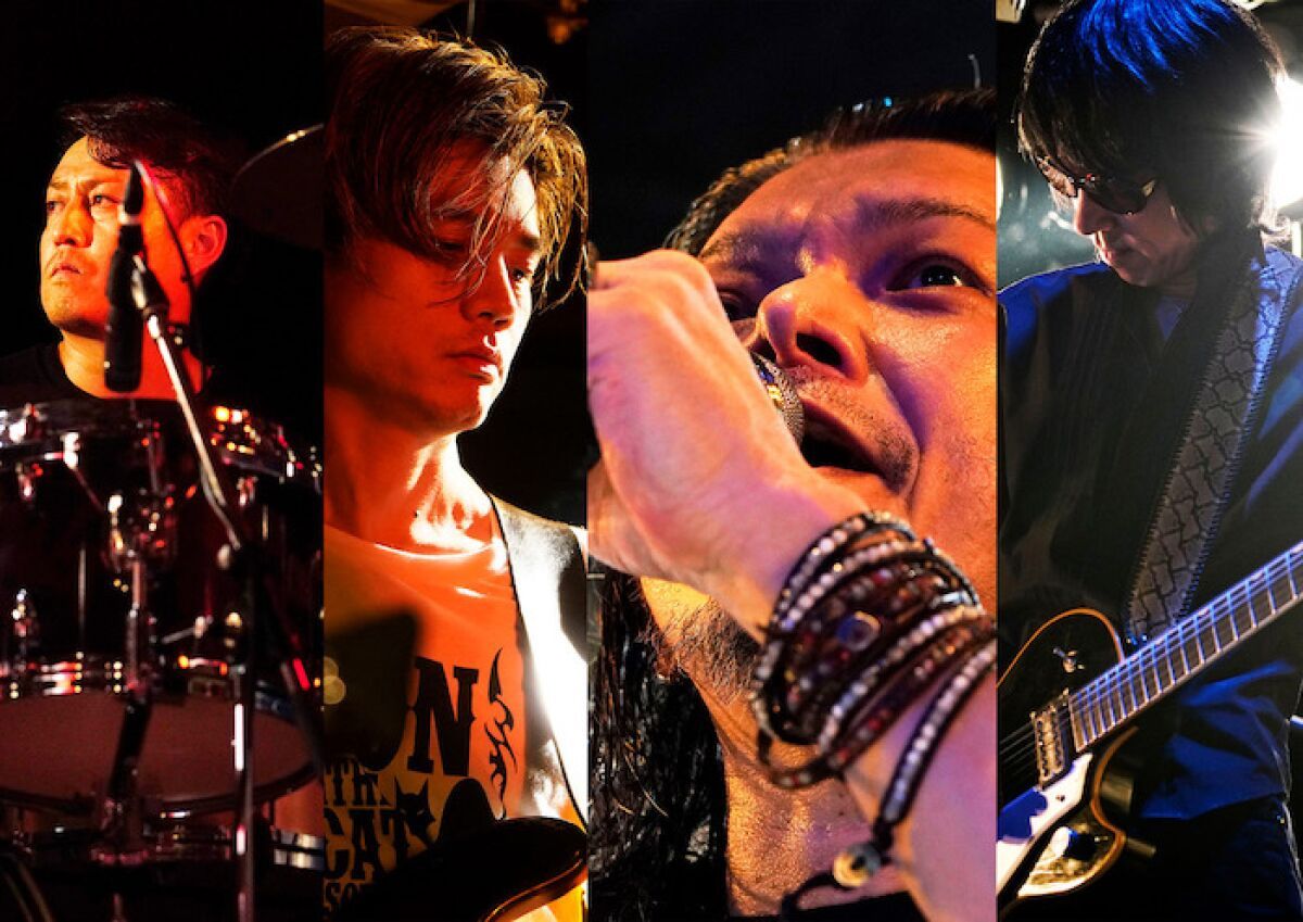 SION & The Cat Scratch Combo 2020-2021 Special Live Online