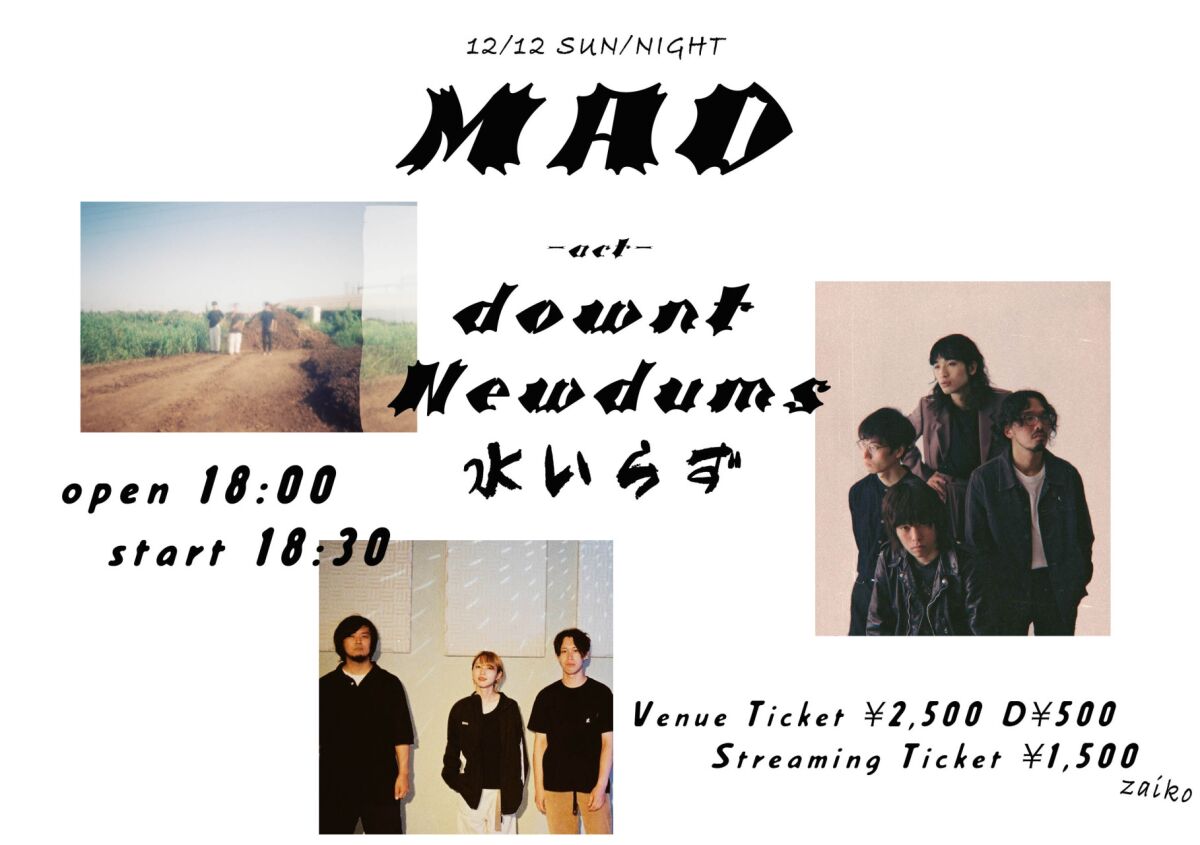 " MAD " 2021/12/12 (NIGHT TIME)