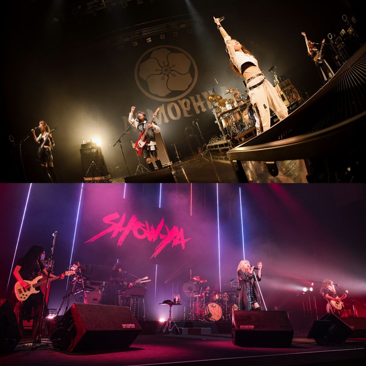 MASTERWORKS PRESENTS 虎穴番外編「NEMOPHILA vs SHOW-YA」