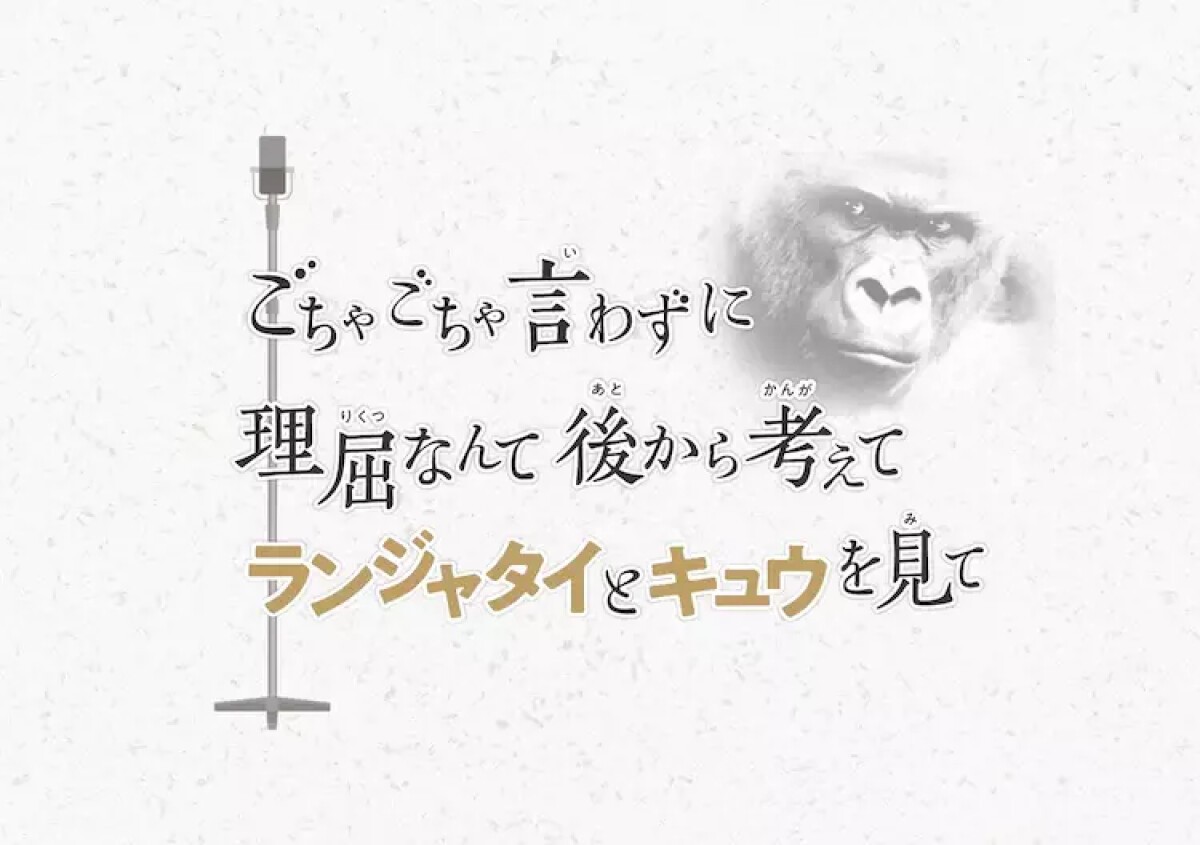 ごちゃごちゃ言わずに 理屈なんて後から考えて ランジャタイとキュウを見て！