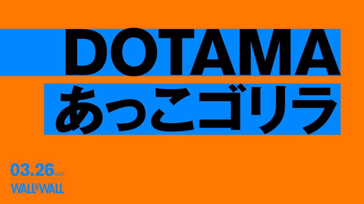 DOTAMA × あっこゴリラ