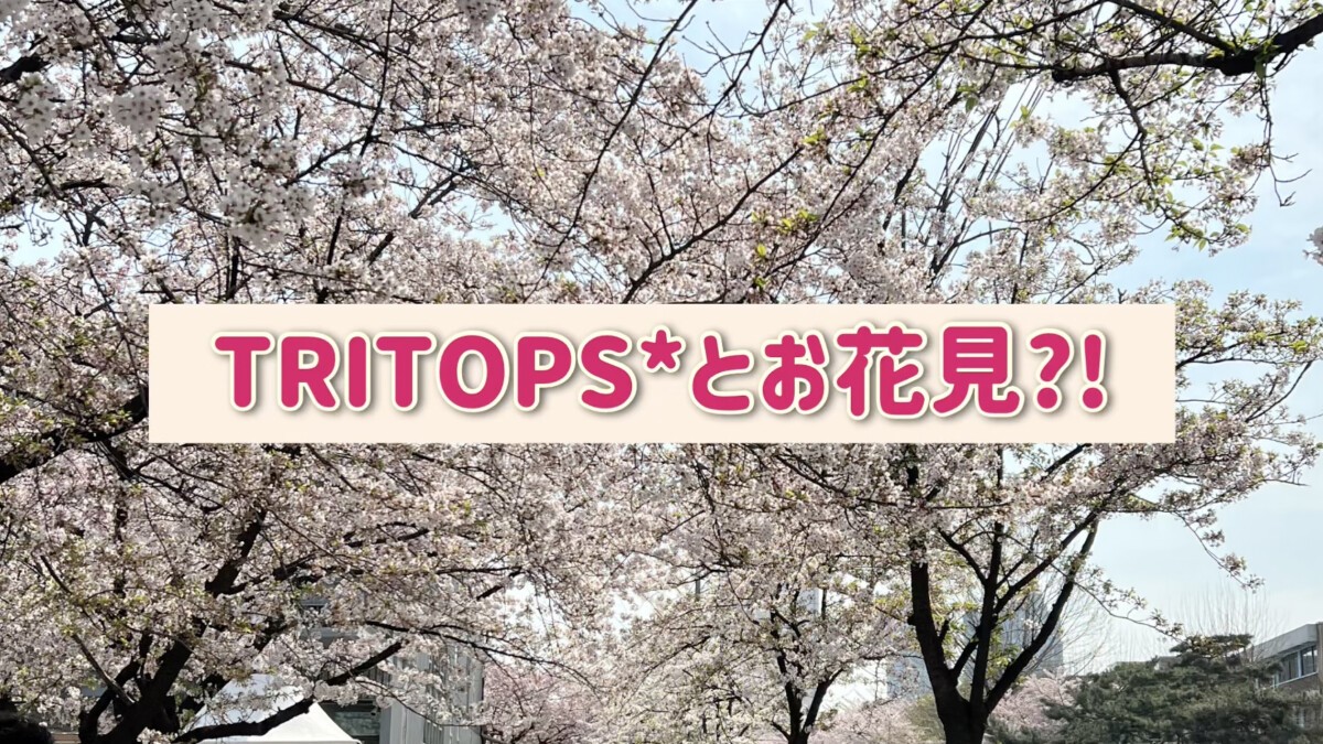 TRITOPS*とお花見？！