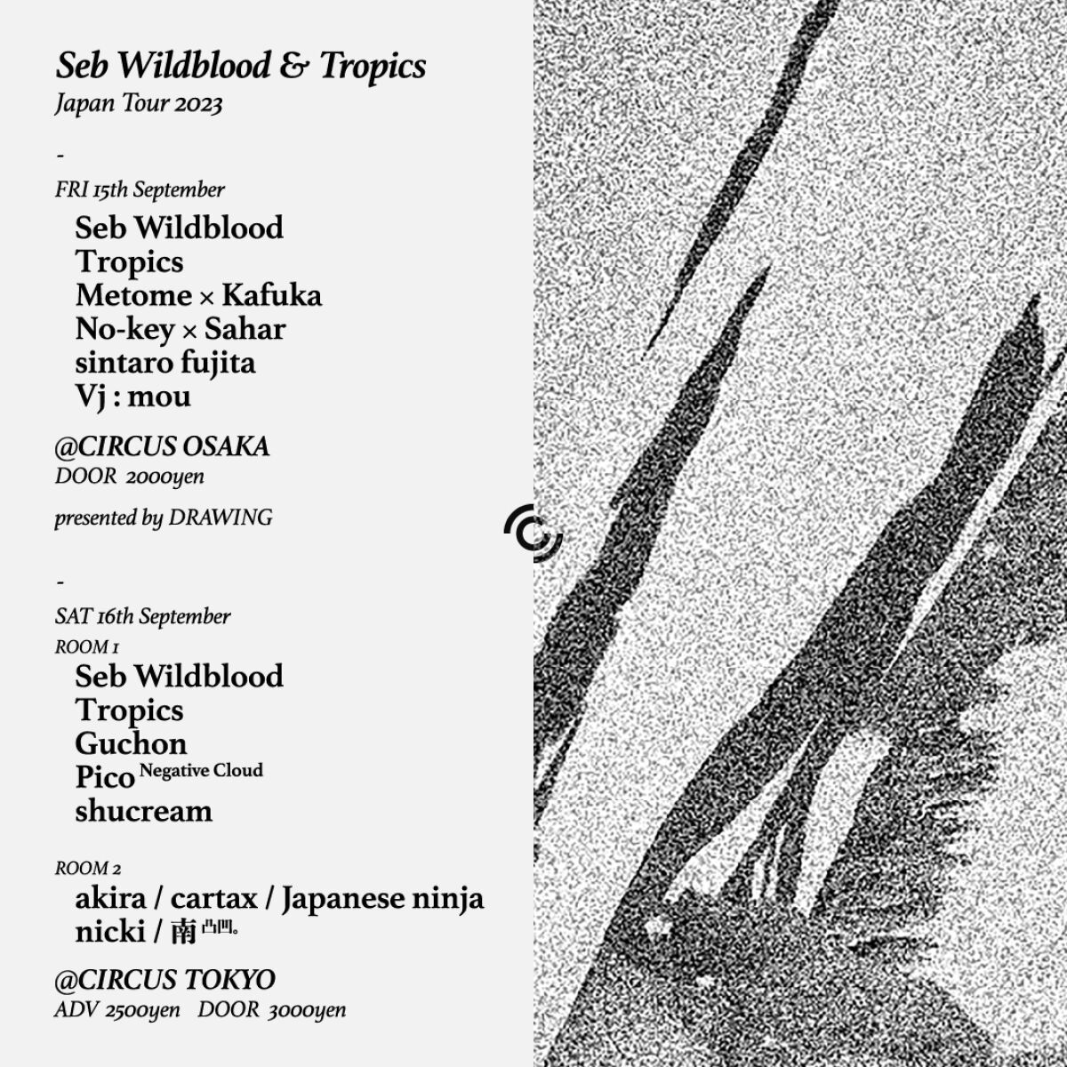 Seb Wildblood & Tropics