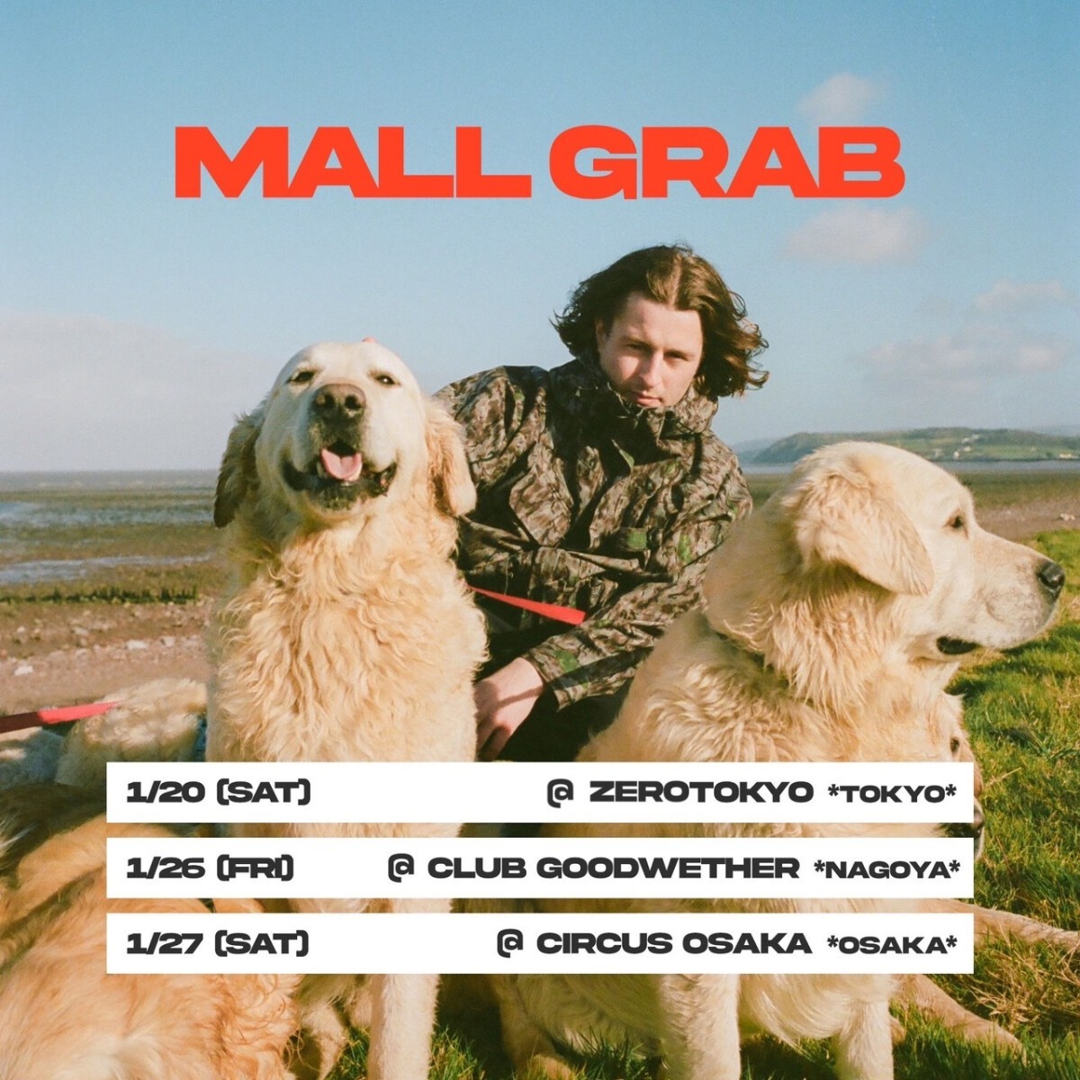 MALL GRAB