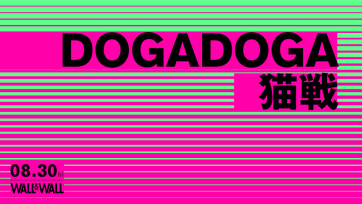 DOGADOGA x 猫戦