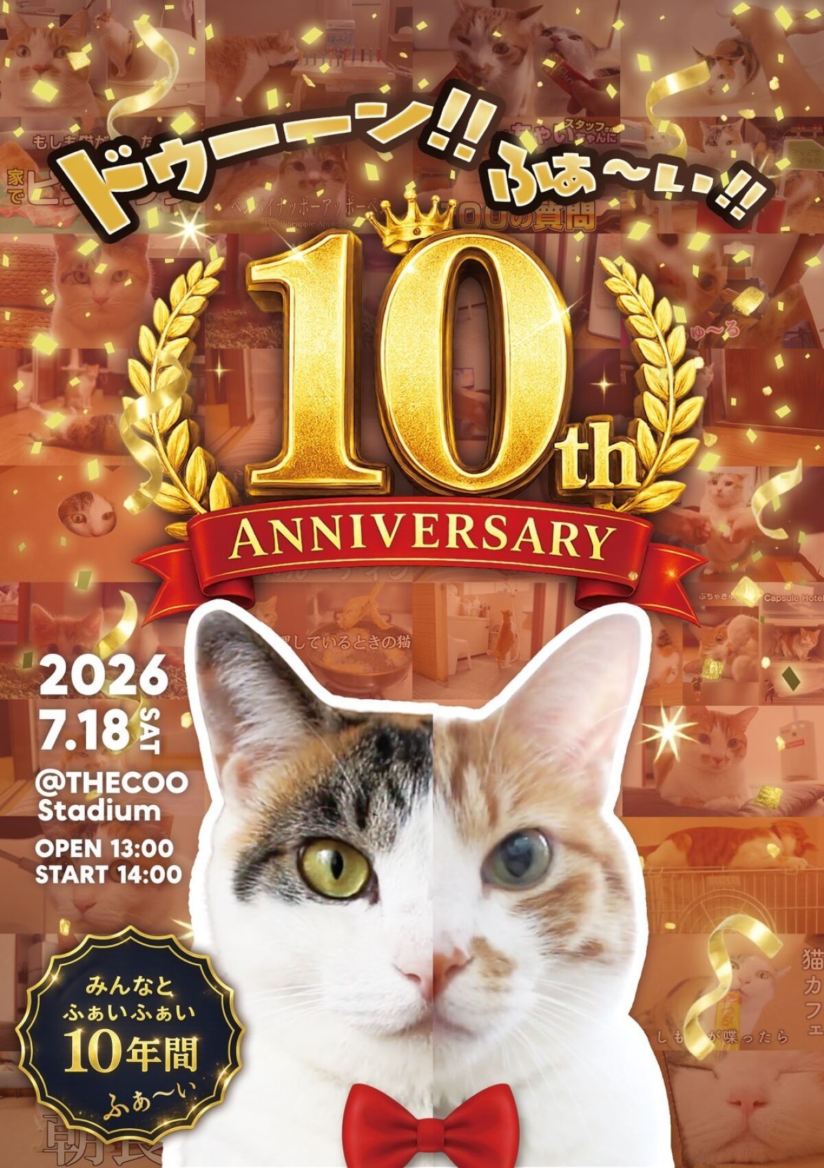 もしぬこ10th ANNIVERSARY