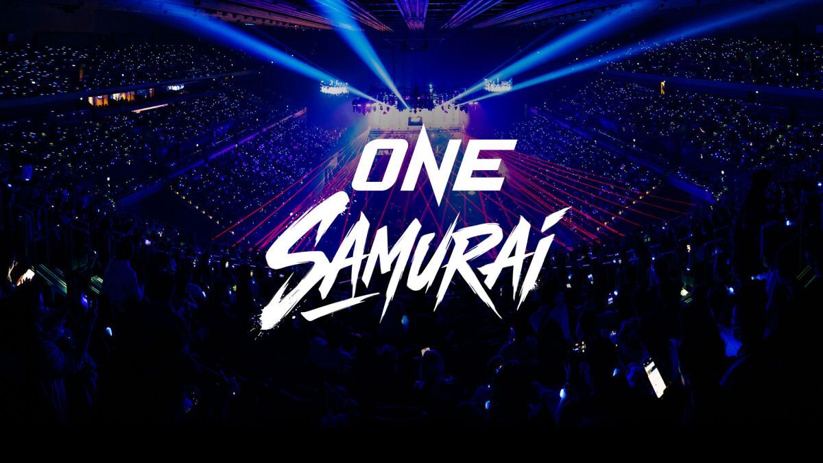 ONE SAMURAI 5