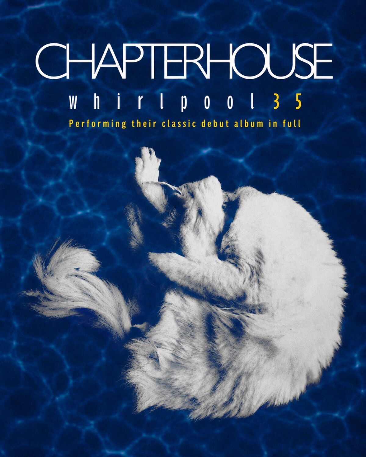 CHAPTERHOUSE / WHIRLPOOL 35TH ANNIVERSARY JAPAN TOUR 2027 東京公演