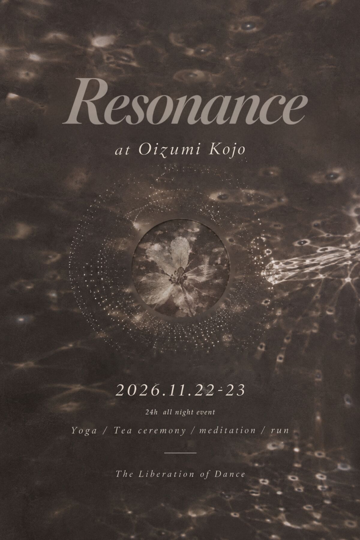 Resonance - Oizumi Kojo