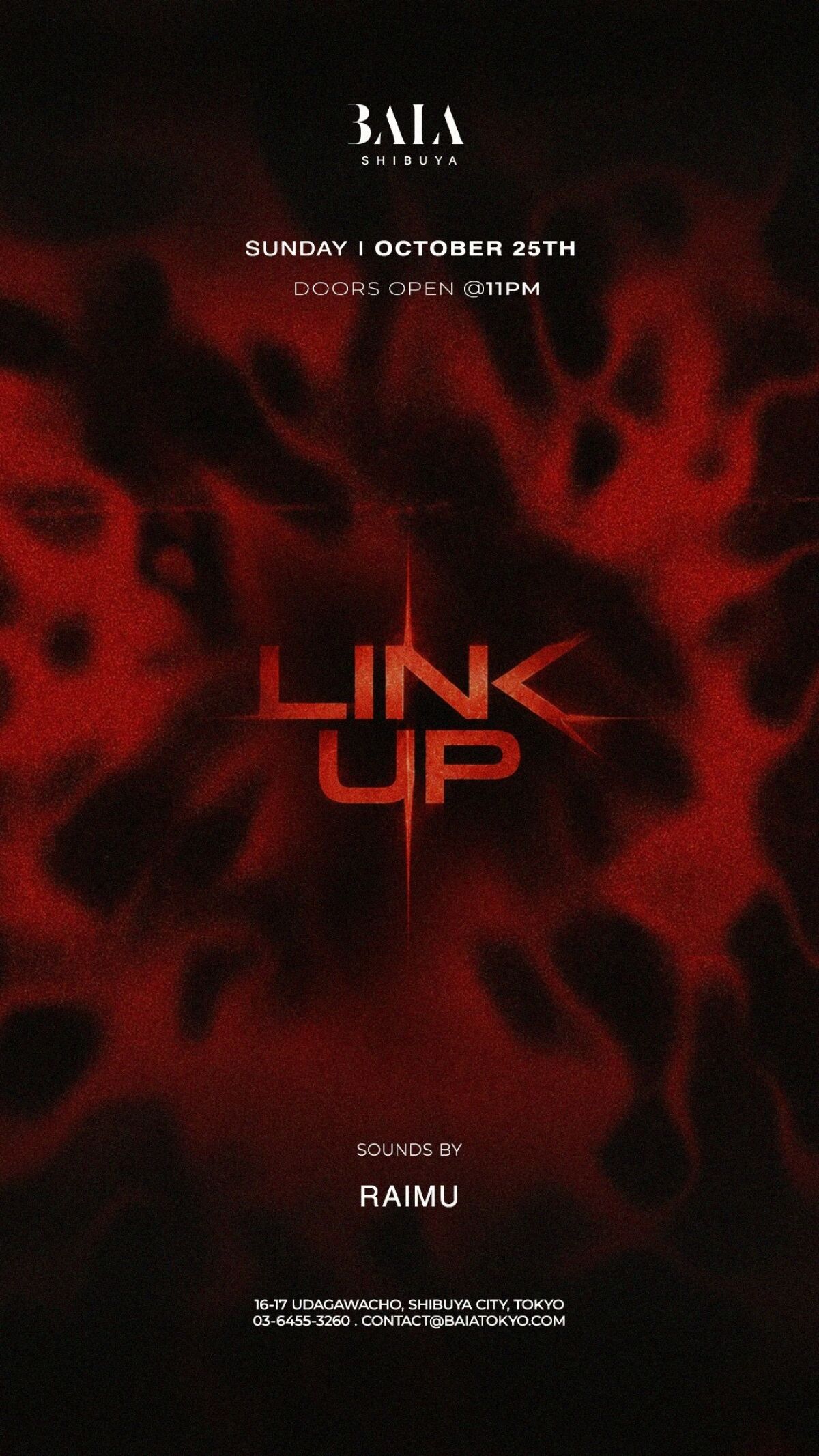 LINK UP SUNDAYS