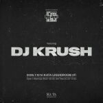 I'm Not Just a DJ featuring DJ KRUSH