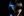 Anja Schneider