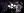 VIDEOGRAM