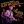 GLEN MATLOCK AND THE TOUGH COOKIES featuring EARL SLICK