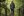 BIBIO