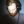 Koreander