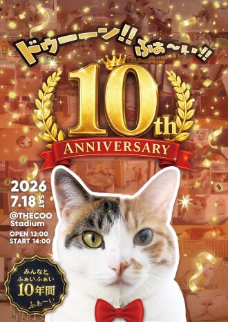 もしぬこ10th ANNIVERSARY