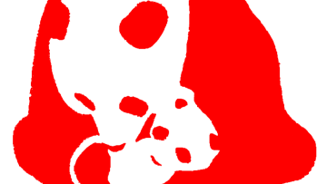 PANDA RECORD