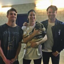 KygoやThe Chainsmokersとも共演！セレブ犬Doug The Pugの最新事情とは？
