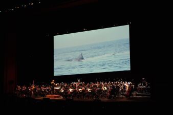 映画「ジョーズ」を全編フルオーケストラ生演奏付きで見るコンサートで臨場感たっぷりの恐怖を味わおう！
