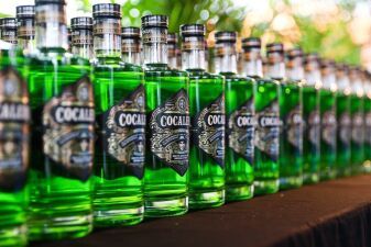 COCALEROと共に最高のパーティを！COCALEROがサポートするパーティをチェック！