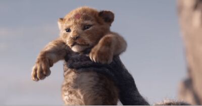 ビヨンセ、ドナルド・グローバーなどが出演する実写風CG版「ライオンキング」のティーザーが公開！