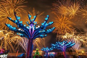 どうなるEDC！EDC LAS VEGASが来年からコンセプト変更の可能性あり！？