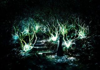  チームラボ、50万平米の大庭園で光の祭「かみさまが住まう森のアート展」開催！