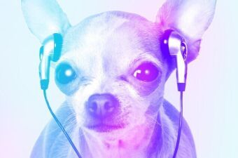 Billboardが「キュートなダンスミュージック10選」を発表！思わずハッピーになりそうな楽曲たちをチェック！