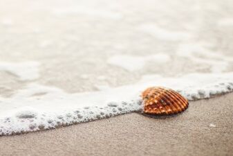 夏が本格スタート！夏の雰囲気を盛り上げてくれるトロピカルハウス特集！