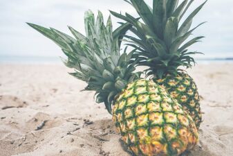 イギリスの人気フェスが持ち込み禁止物のリストに「パイナップル」を追加