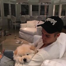 突如インスタのアカウントを削除したJustin Bieber。しかし、愛犬Toddのインスタを始動！