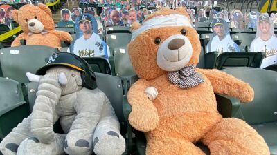【動画アリ】アメリカ・大リーグ、無観客試合の席を埋めるため観客席がテディベアと人型パネルだらけに……そんな中、ファウルボールが無慈悲にもテディベアに直撃！