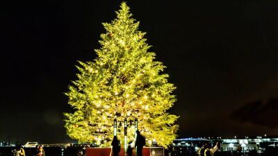 約10mの本格ツリー等、クリスマスマーケット発祥の地・ドイツの雰囲気が満喫できる『Christmas Market in 横浜赤レンガ倉庫』11月22日 (金) より開催決定